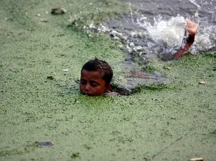 The water boy