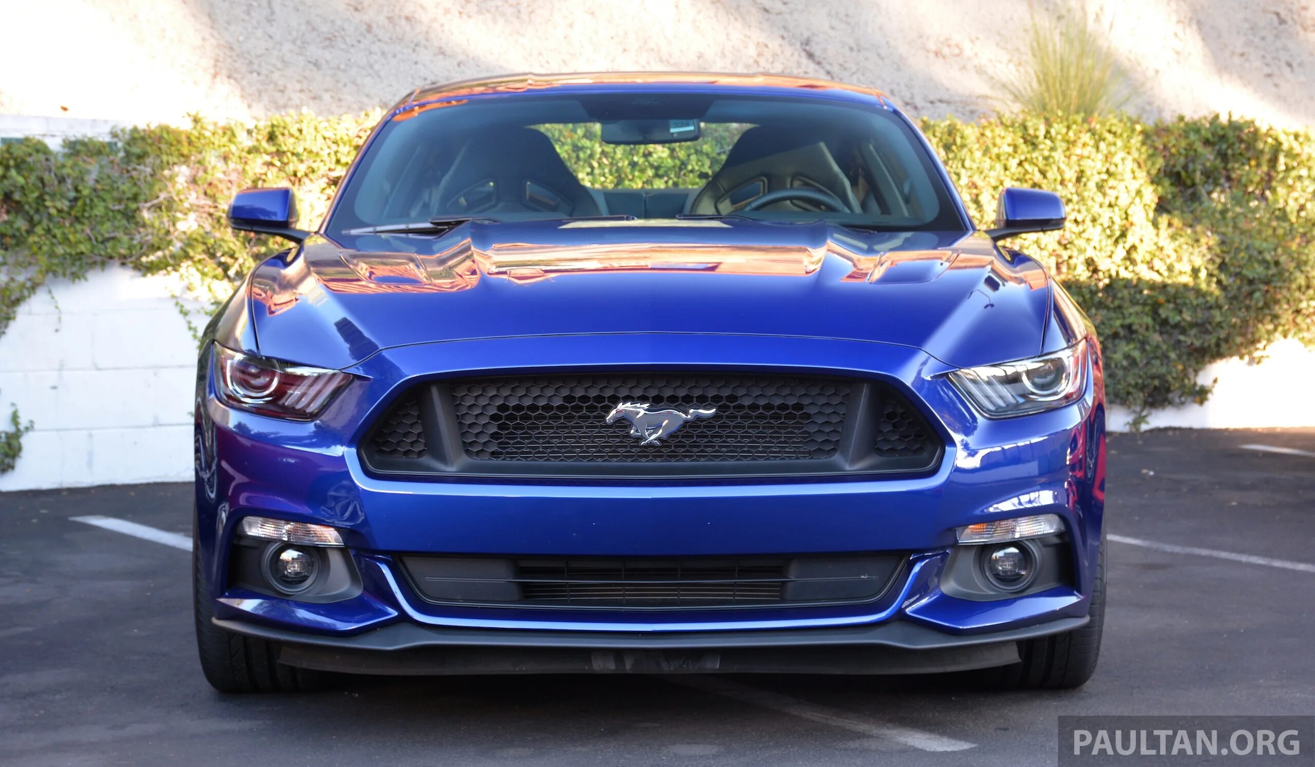 Ford Mustang ECOBOOST 2.3 2015. Форд Мустанг 2х19. Мустанг 2015. Ford Mustang 5.0 2015.