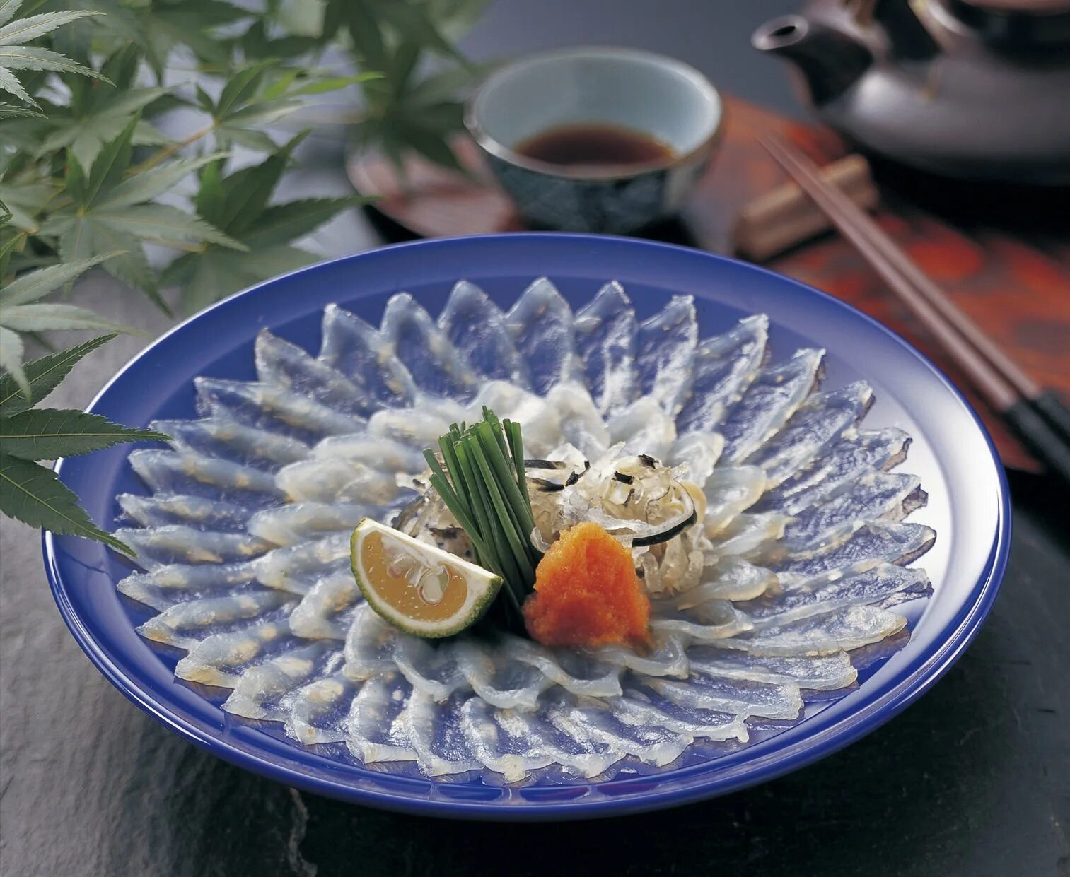 Ресторан фугу япония. Рыба фугу сашими. Ресторан фугу япония. Японская кухня рыба фугу. Рыба фугу готовка.