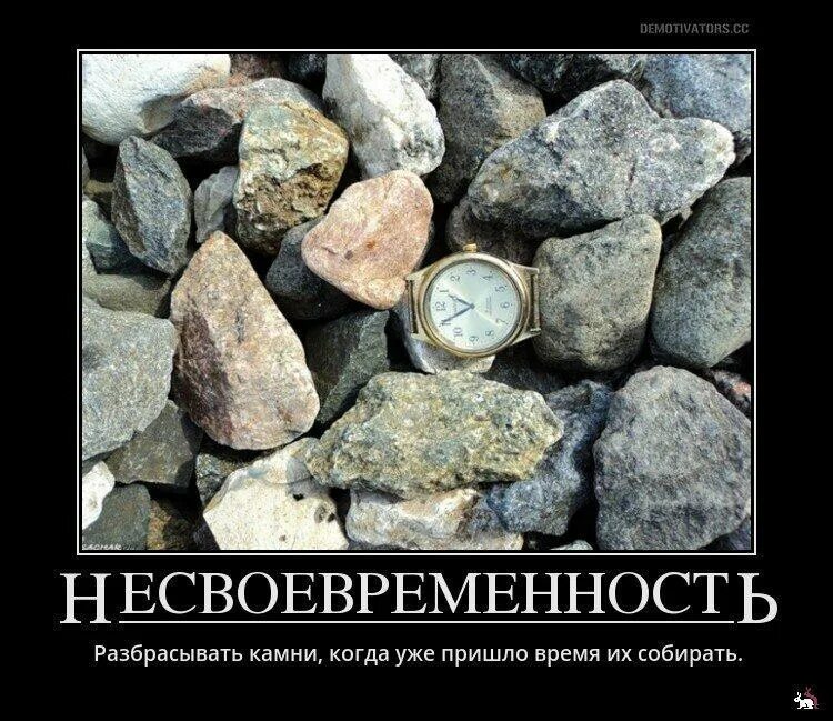 И тогда взяв камень в руку. Шутки про камень. время разбрасывать камни и время собирать камни. камень прикол. интересные фразы про камни.
