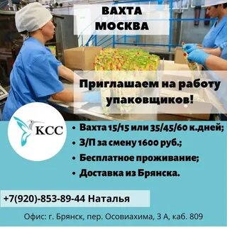 Упаковщики вахта москва отзывы