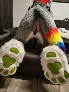 Murrsuit gay.