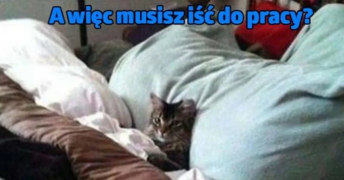 Спать надо одетым