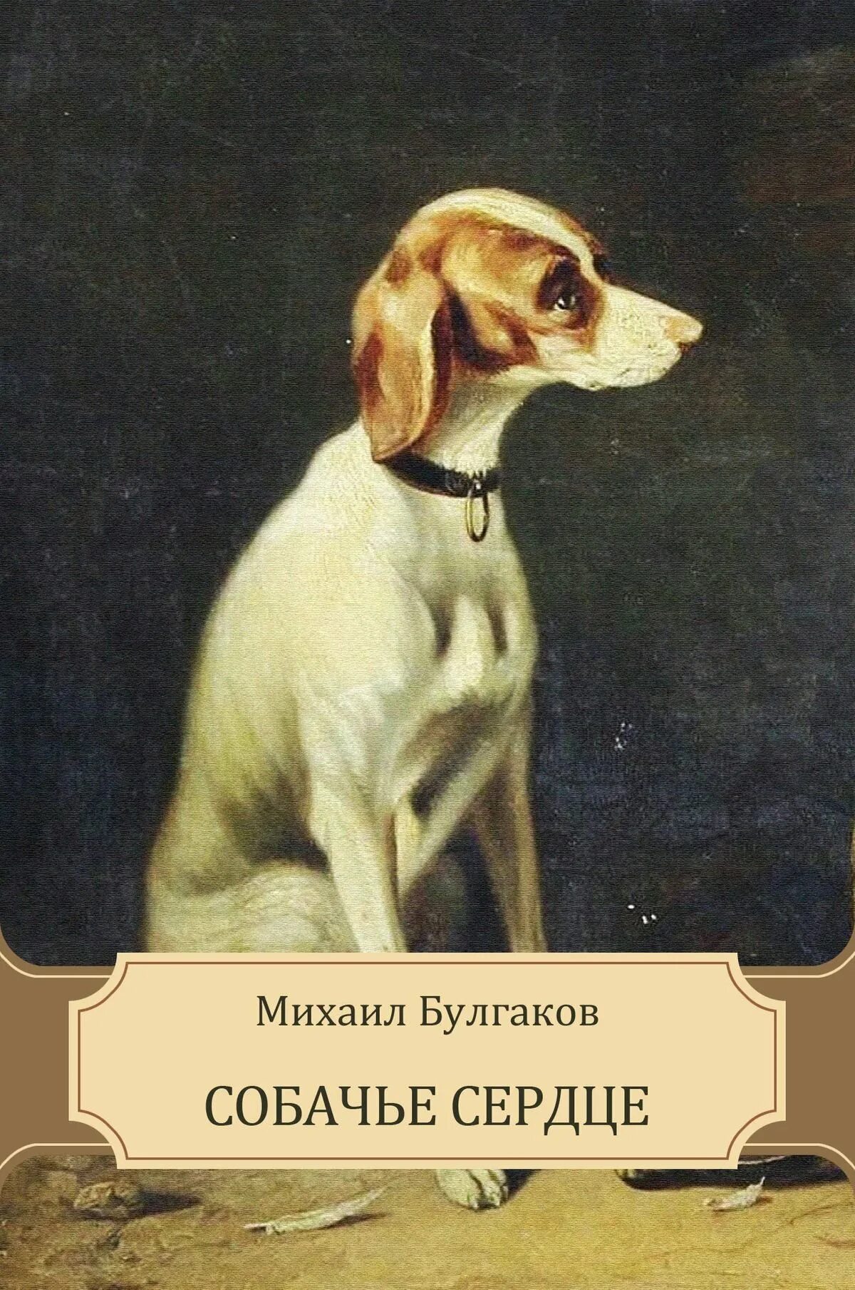 Повесть Михаила Булгакова «Собачье сердце». «Собачье сердце» м.а. Булгакова обложка книги.