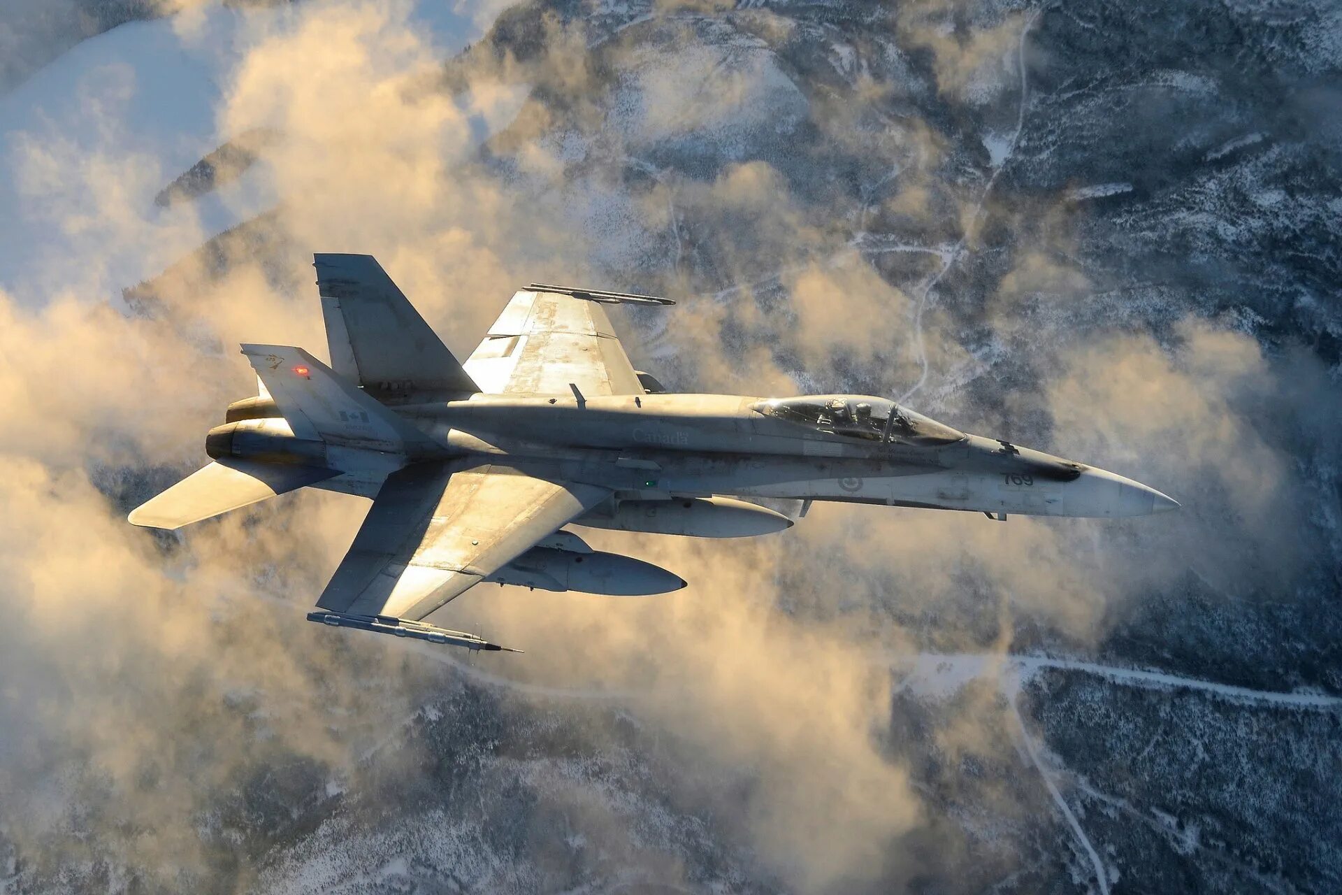 Истребитель 2014. MCDONNELL Douglas CF-18 Hornet. Макдоннелл Дуглас истребитель самолет. Douglas f/a-18 Hornet.. MCDONNELL Douglas f/a-18 "Хорнет".