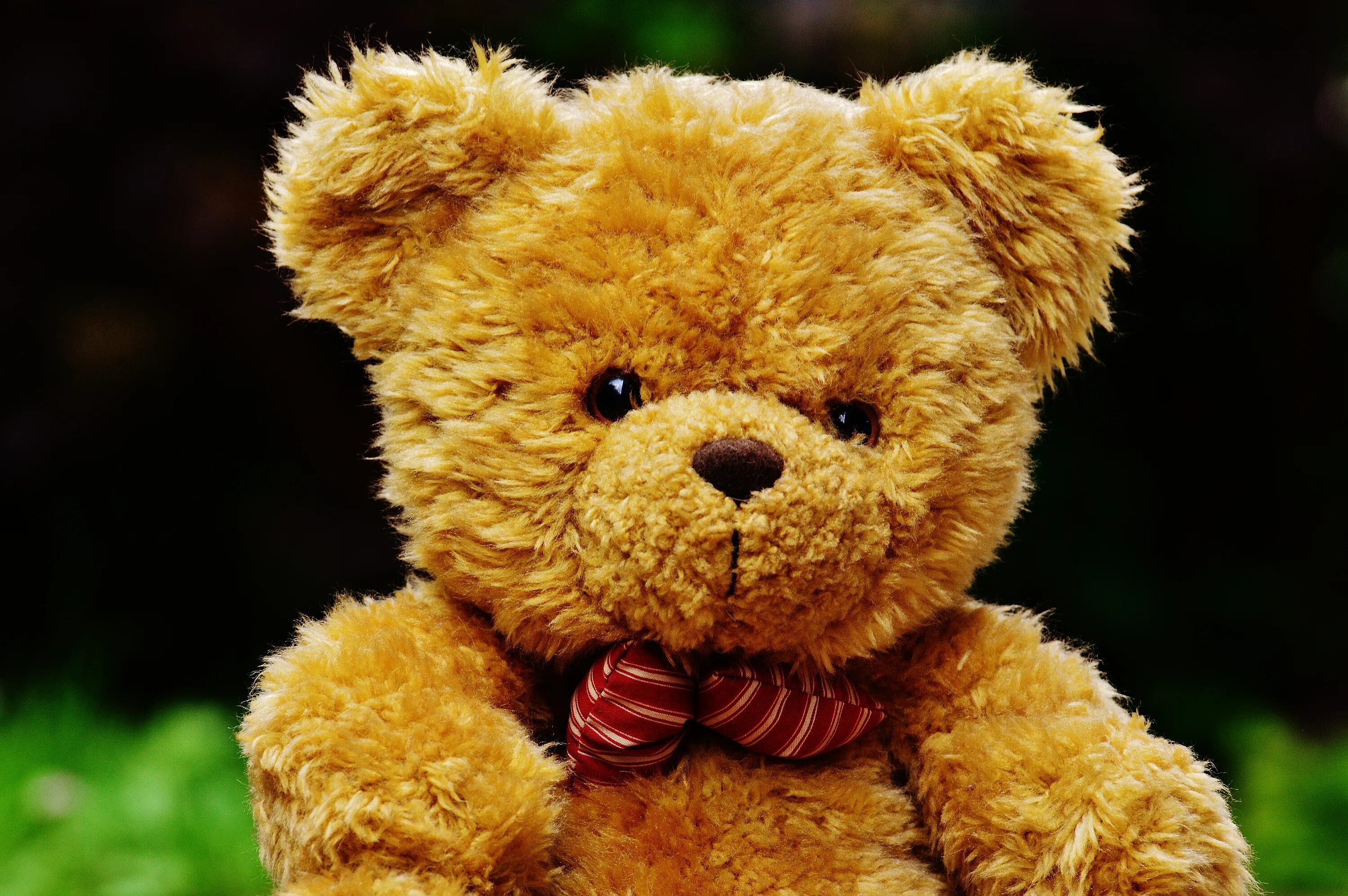 A brown teddy bear. Тедди Беар. Плюшевый мишка. Милый плюшевый мишка. Медвежонок Тедди.