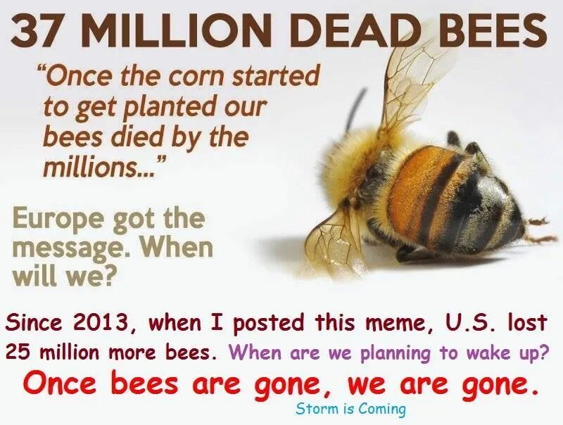Stickers found by your bees while gathering