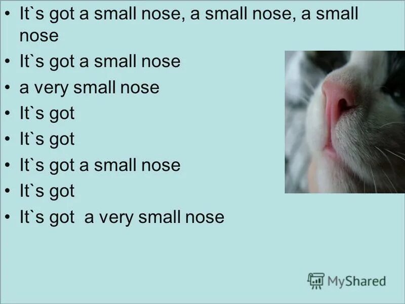 Тема small nose 3 класс. Small nose. Puppet spotlight 2. It s got a small nose. 3 класс small nose.