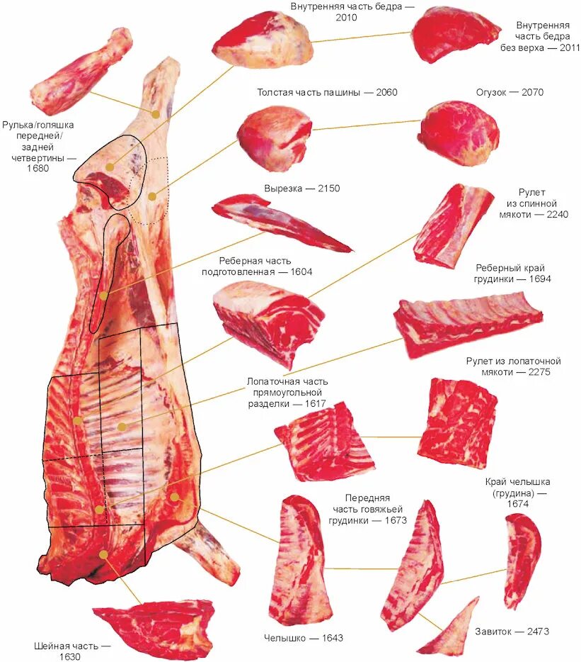 Карбонат отруб свиной. Полутуши,отруб,разруб. Схема разделки полутуши. Свинья мясо части корейка. Части свиньи названия