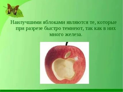 Как пишется яблоня