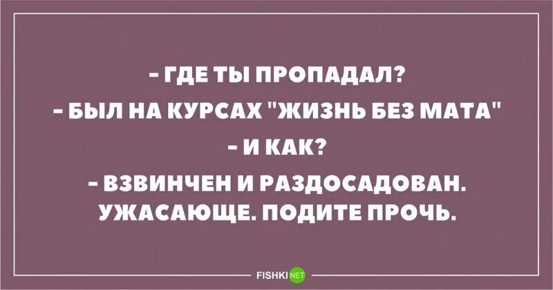 Шутка юмора. Юмор про мат. Жизнь без мата. Цитаты без мата. Русская мама разговоры матом