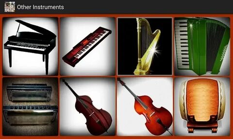 Other instrument