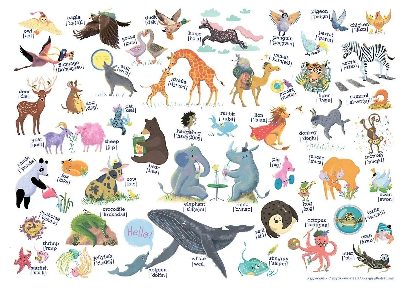 Wild Animals: List of 30+ Popular Names of Wild Animals in English - English Stu