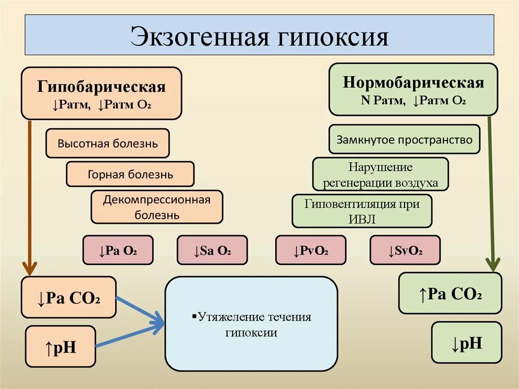 Экстренная гипоксия. Экзогенная нормобарическая гипоксия. Механизм нормобарической гипоксии. Патогенез экзогенной гипоксии. Перегрузочная циркуляторная гипоксия.