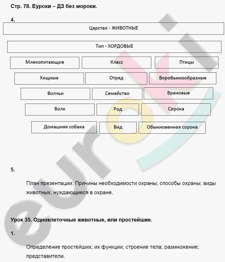 Биология 7 класс 20 стр вопросы. Биология 7 класс рабочая тетрадь пасечник ответы. биология 7 класс пасечник суматохин. биология 7 класс рабочая пасечник.