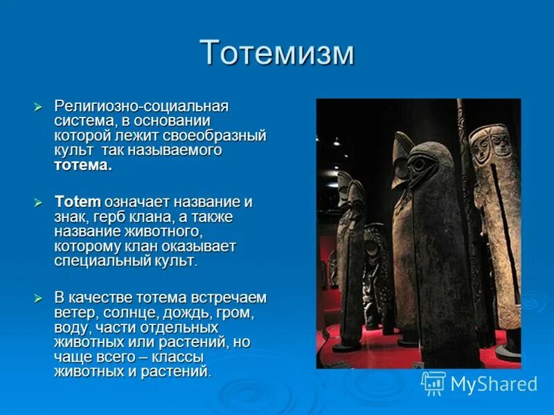 Живая природа биология. Живые организмы на земле. Живой мир культура. Тотемизм первобытная религия. Разные животные.