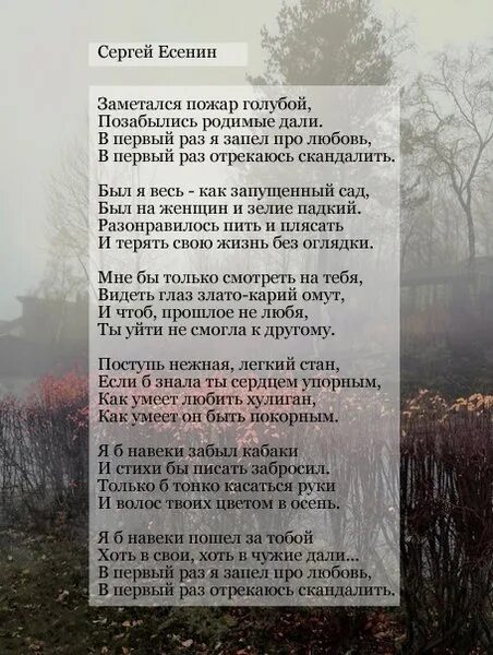 Песня я б пошел за тобой. Есенин пожар голубой стих. Пожар голубой стих Есенина. Стихотворение Есенина пожар голубой. Есенин стихи заметался пожар.