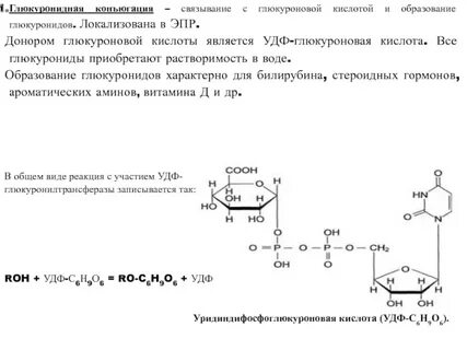Роль глюкуроновой кислоты