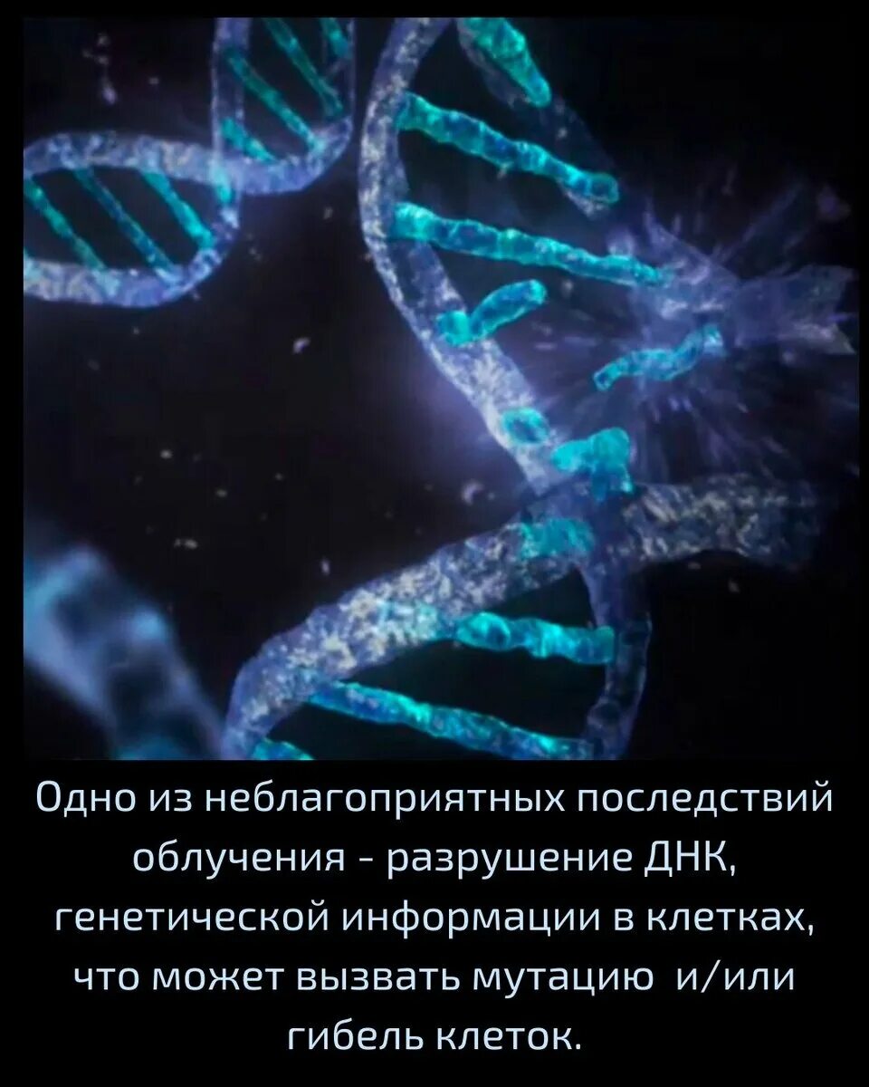 Генетическим повреждением. Мутационная ДНК. Ультрафиолетовое излучение мутаген. Мутагенез ДНК. Мутаген генетика.