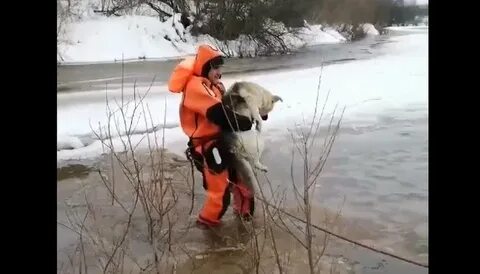 Спасись видео