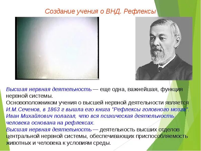 Основа высшей нервной системы. Учение о высшей нервной деятельности. сеченов внд. учение сеченова о высшей нервной деятельности. основы учения о высшей нервной деятельности.