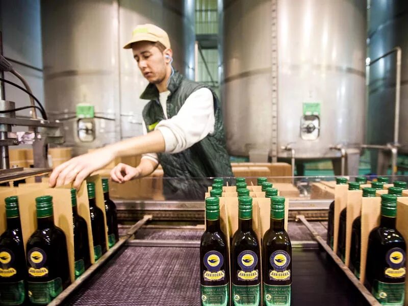 Производство оливкового масла. Завод оливкового масла. Промышленность Португалии. Производители оливкового масла в мире.