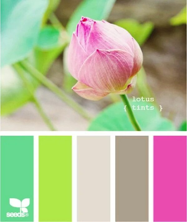 Сочетание цветов розовый и зеленый Color Palette #1694 Зеленая цветовая палитра, Розовые цветовые палитры, Цветов о