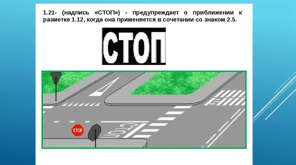 Знаки дорожные линии. Дорожная разметка 1.12. Дорожная разметка 1.21. Разметка в виде надписи стоп на проезжей части. Разметка стоп линия ПДД.