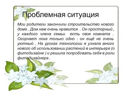 Фикус бенджамина описание