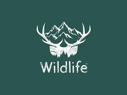 Wildlife studios