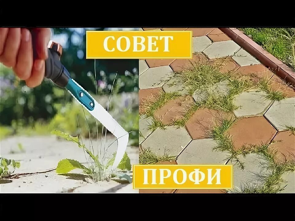 Как избавиться от травы между плитками. Нож для удаления травы между тротуарной плиткой. прополка травы в тротуарной плитке. как очистить брусчатку от травы. чистка тротуарной плитки от травы на даче щеткой.