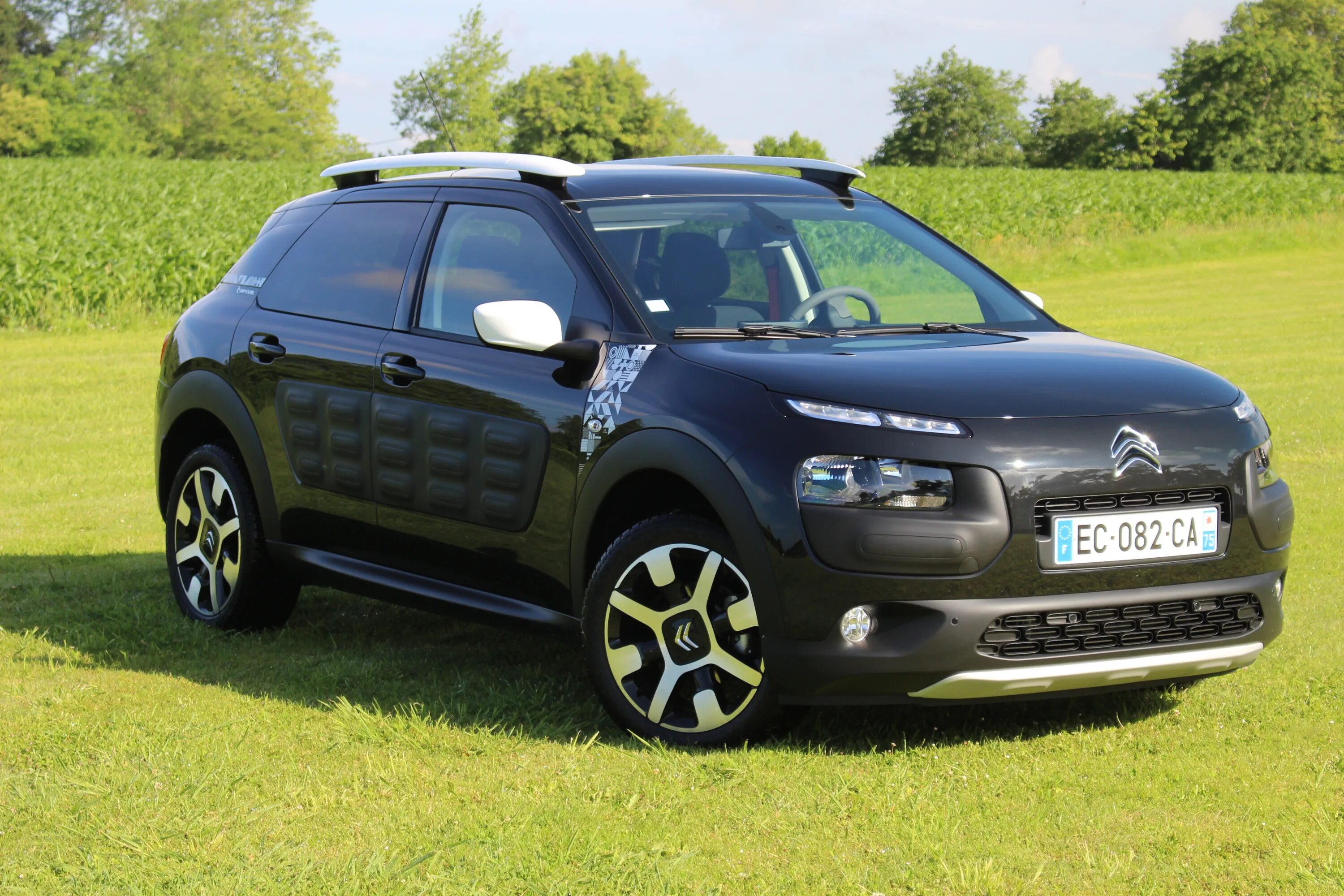 Cactus 4. Citroen c4 Cactus. C4 Кактус. Renault Cactus. Рено Кактус фото.