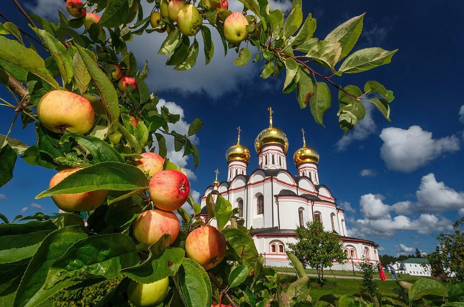 Преображение Господне 2022. Яблони Валдайский монастырь. Яблочный спас. Храм в яблонях. Яблоки яблочный спас