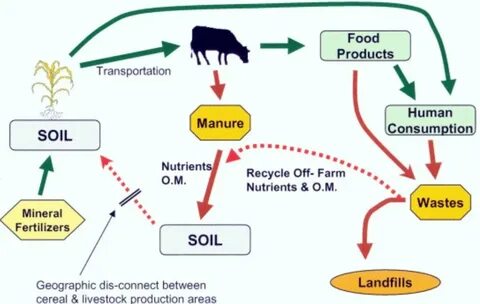 Human farm
