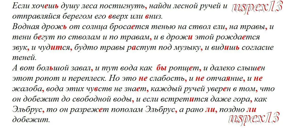 Я иду берегом своего любимого ручья