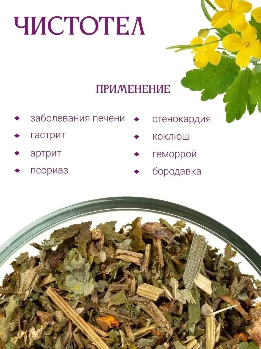 Чистотел внутрь от чего. Чистотел. чистотел чай. травяной чай с чистотелом. травяной сбор с чистотелом.