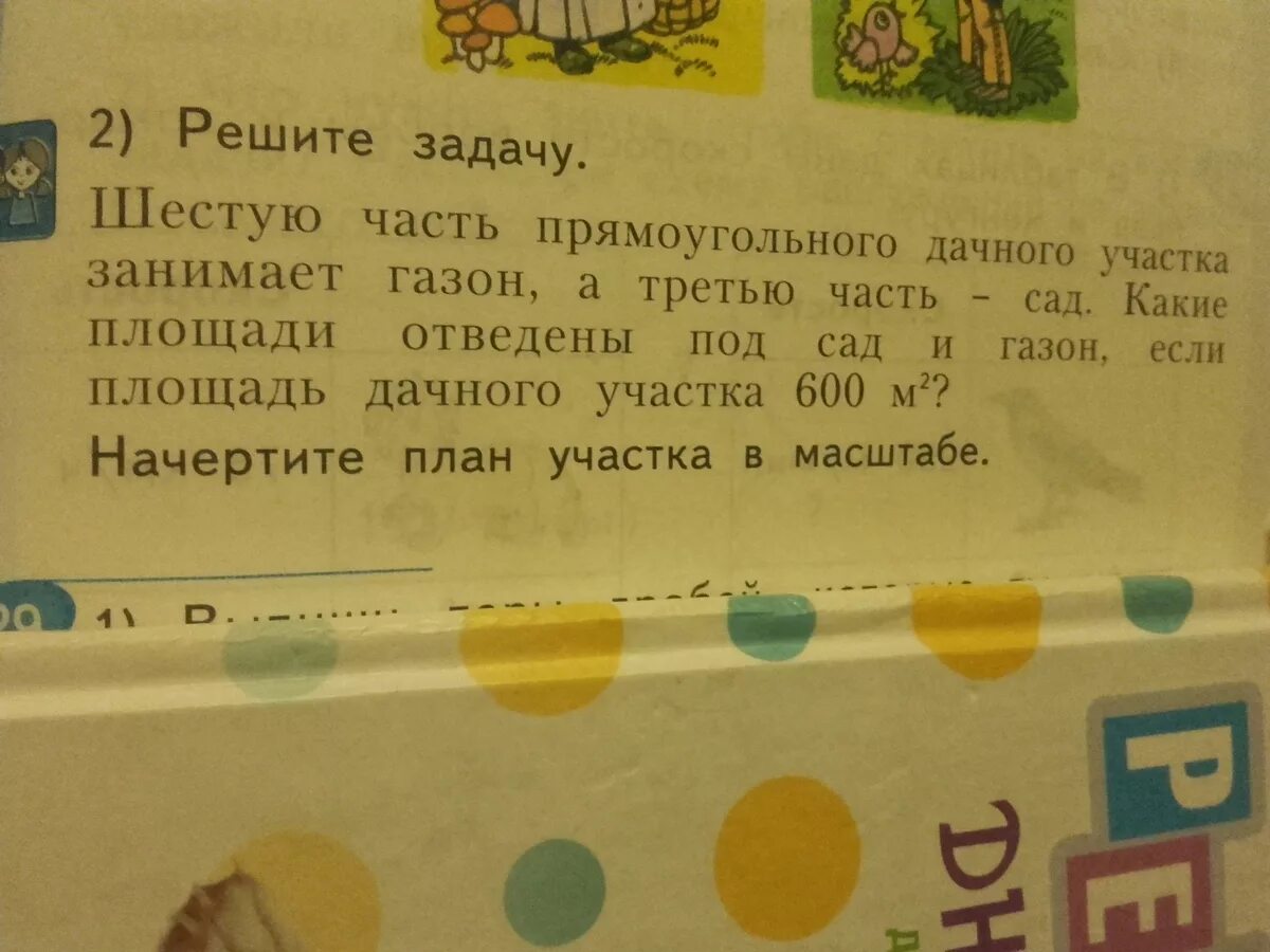 Ландшафт прямоугольного участка. Сад занимает участок земли. Красивый газон. Задачи на вычисление площади участка. Зеленый газон.