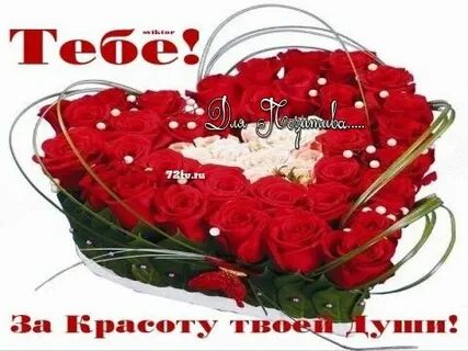 Песни за твою красоту