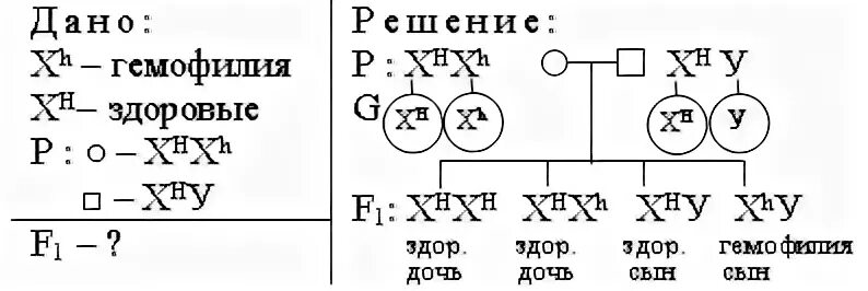 У человека доминантный ген а определяет стойкий