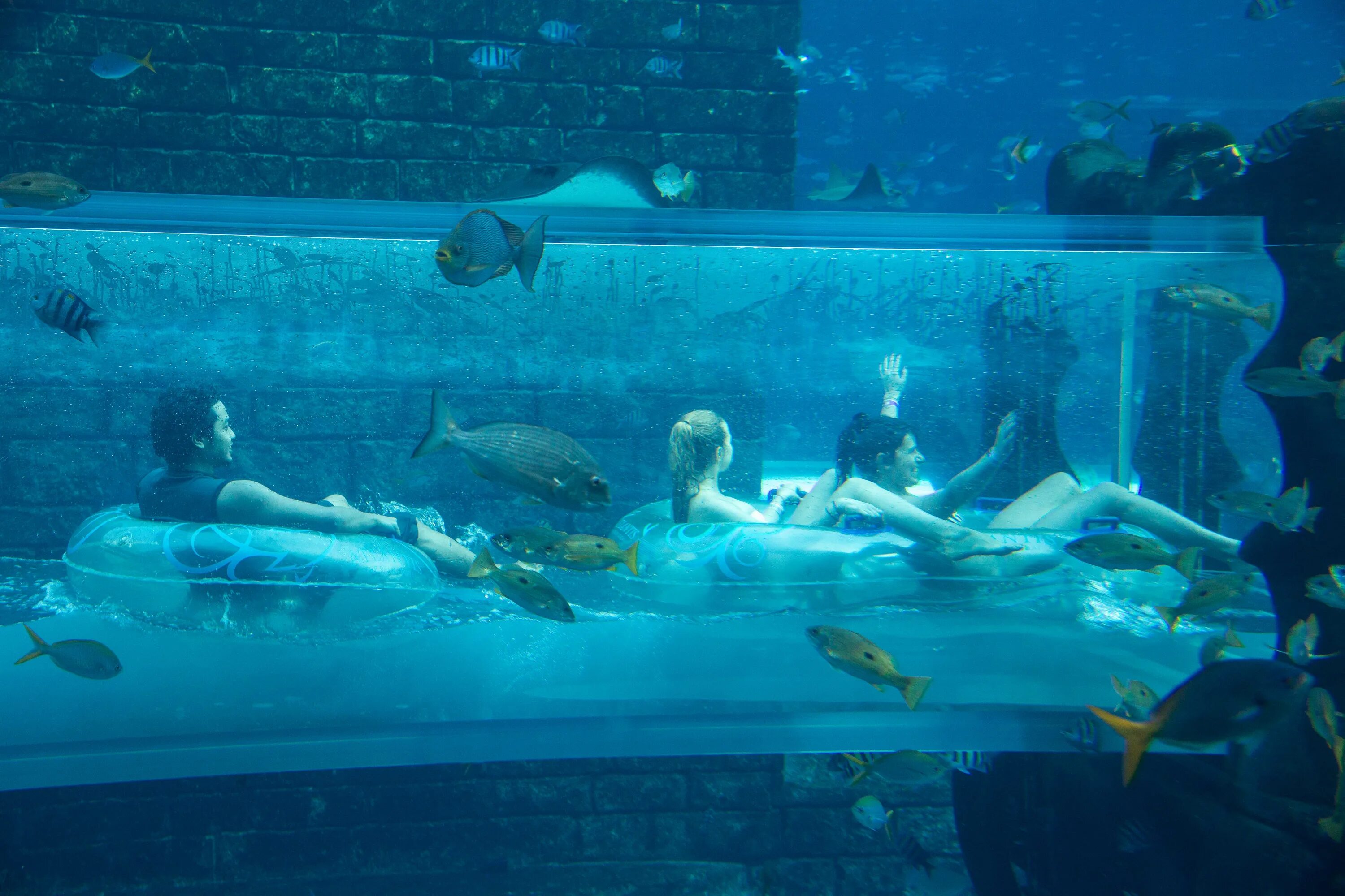 Atlantis цены. Аквапарк Атлантис Дубай. Аквавенчер аквапарк Дубай. Пальма Джумейра Атлантис аквапарк. Аквапарк в Дубаи Атлантис с акулами.