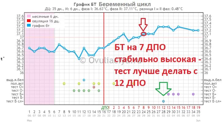 Признаки после овуляции форум. 11 День после овуляции БТ 37.1. БТ 37,3 на 7 день после овуляции. 12 День после овуляции базальная температура при беременности. Базальная температура на 7 день после овуляции.