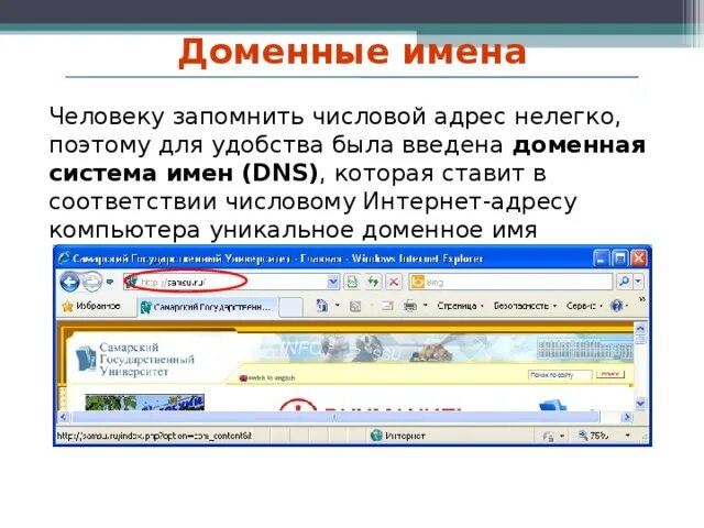 Домен презентация. Доменная система имен презентация. Доменный адрес. Адресация в интернете доменная система имен. Ввод в домен презентация.