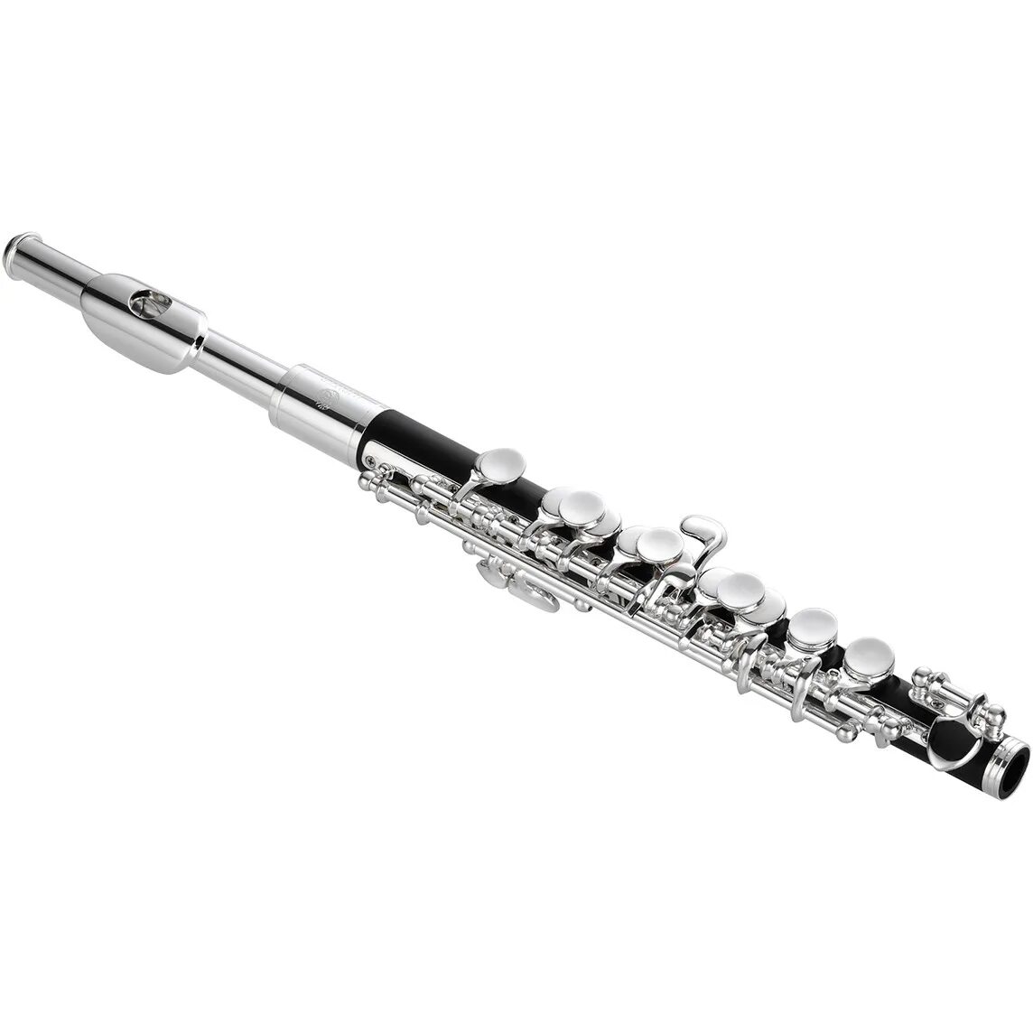 Флейта купить. Флейта Юпитер. Флейта музыкальный инструмент. Флейта Пикколо. Многоствольная флейта Свирель.
