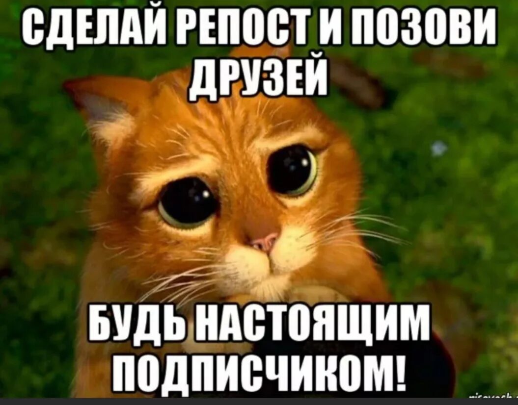 Попроси подписаться. Сделай репост. Пожалуйста репост. Прости меня пожалуйста я больше так не буду. Простите меня пожалуйста картинки.