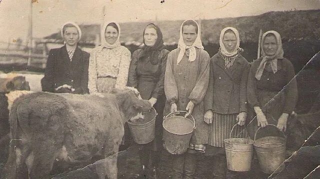 Мороз совхоз. Кузнецова анна ивановна колхоз красный маяк. колхоз алтайский край 1942. председатель колхоза родина в 1965 году. совхоз новый путь в башкирии 1910г.