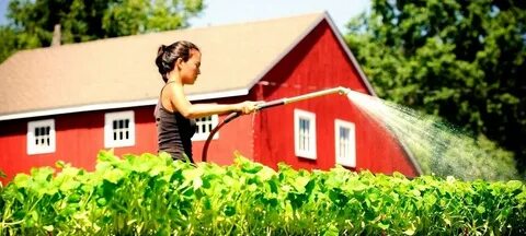 Farm job