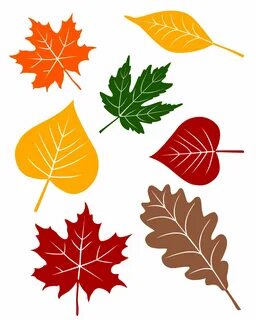 5 Fall Circle Time Lessons with FREE Printables Leaf crafts, Autumn leaves craft