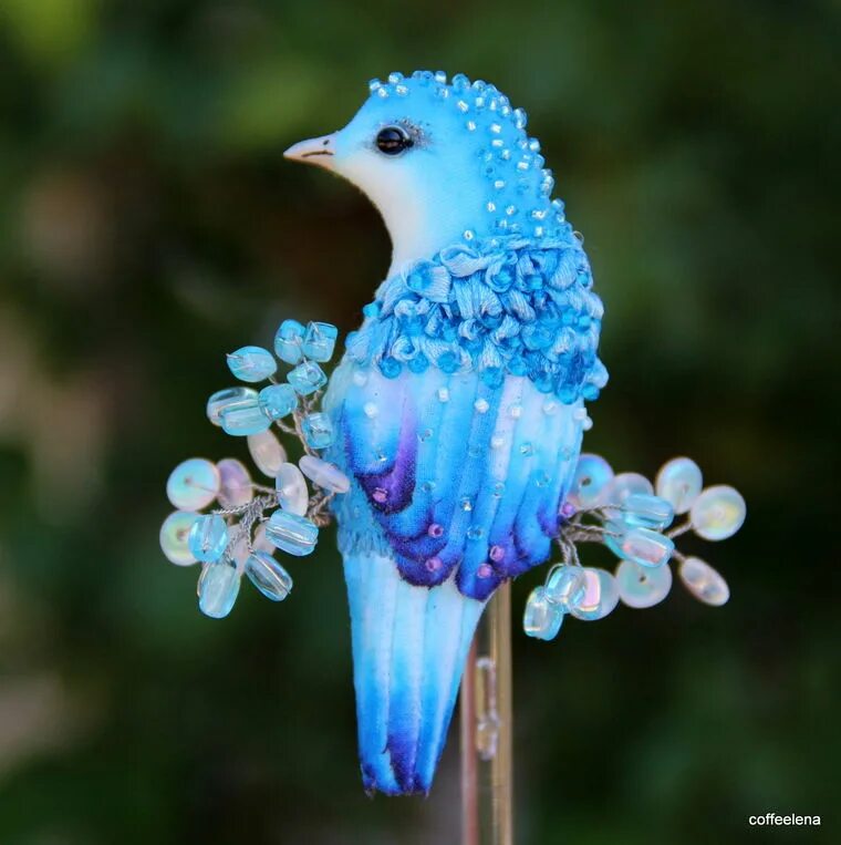 Две синие птицы. Синяя Райская птица принца Рудольфа. Синяя птичка. Бирюзовая птица. Райские птицы.