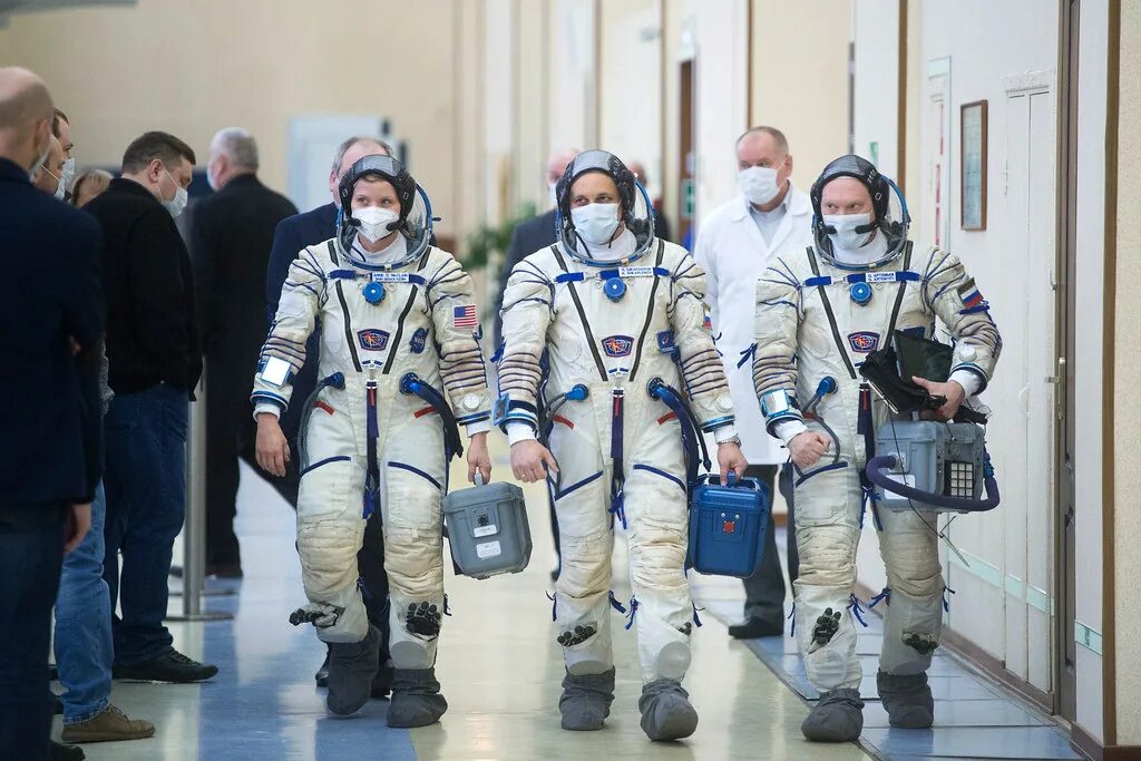 Спинка экспедиционного рюкзака. Экипаж 35 экспедиции на мкс. Expedition 65. Бортинженер зеленый. Рюкзак millet mystic 20.