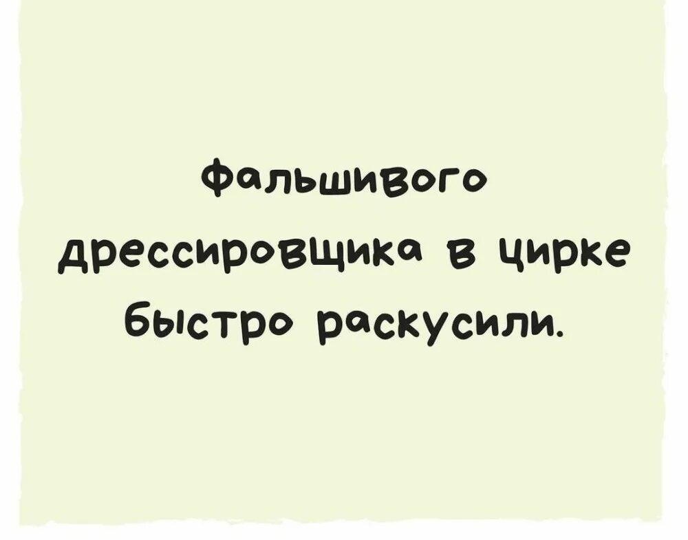 Фальшивого дрессировщика в цирке быстро раскусили. Анекдот про фальшивого дрессировщика. Анекдот про дрессировщика. Дрессировщик Мем. Фальшивая святая хочет уйти 48